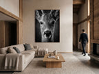 Merveille d'un cerf